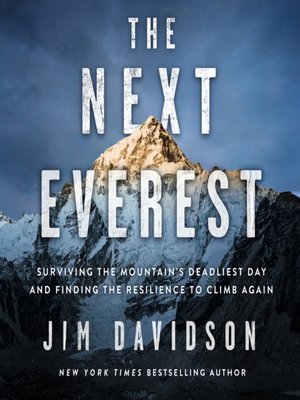 cover image of The Next Everest